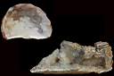 quartz geode0001.jpg